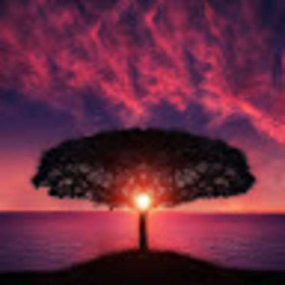 Meet your Posher, Qemem hiwet ቀመም ሂወት - Picture 1 of 1